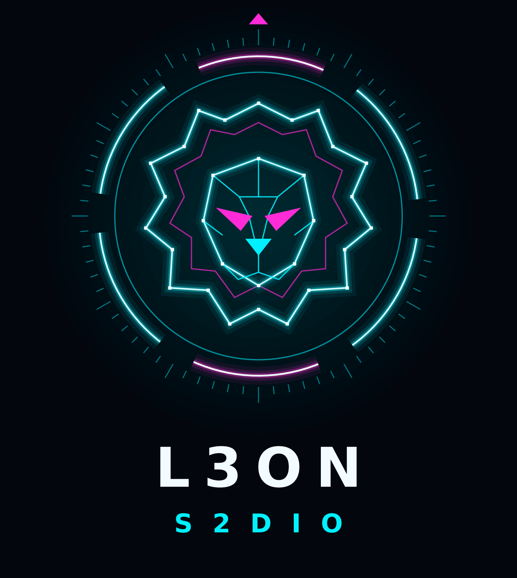 Professional vector logo design and brand identity example